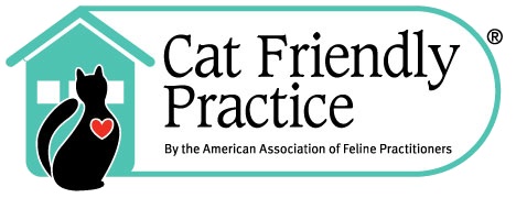 Senior Cat Care at Valley West and Elk Valley