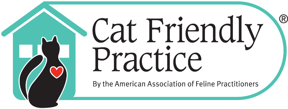 Cat-Friendly Kitten Services at Valley West and Elk Valley