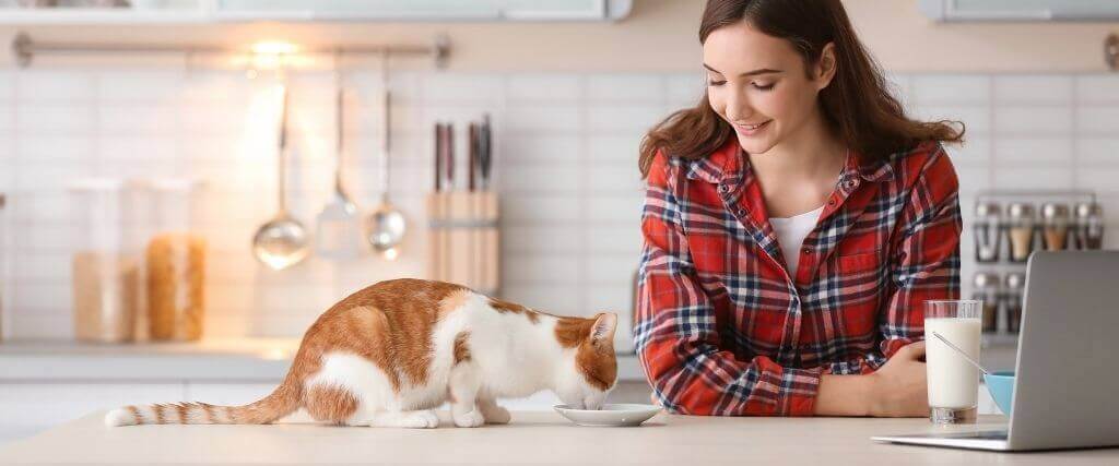 Thinking of Making Your Cat's Food? Read This First