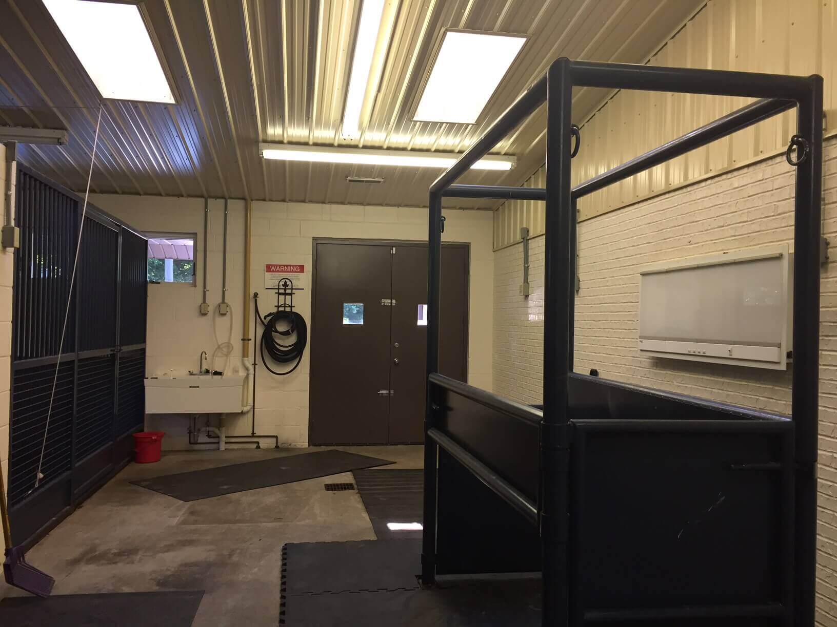 elk creek animal hospital elk creek animal hospital