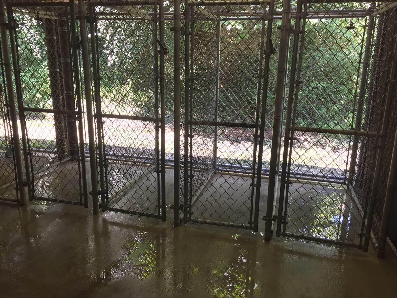 Elk Valley Outside Kennels