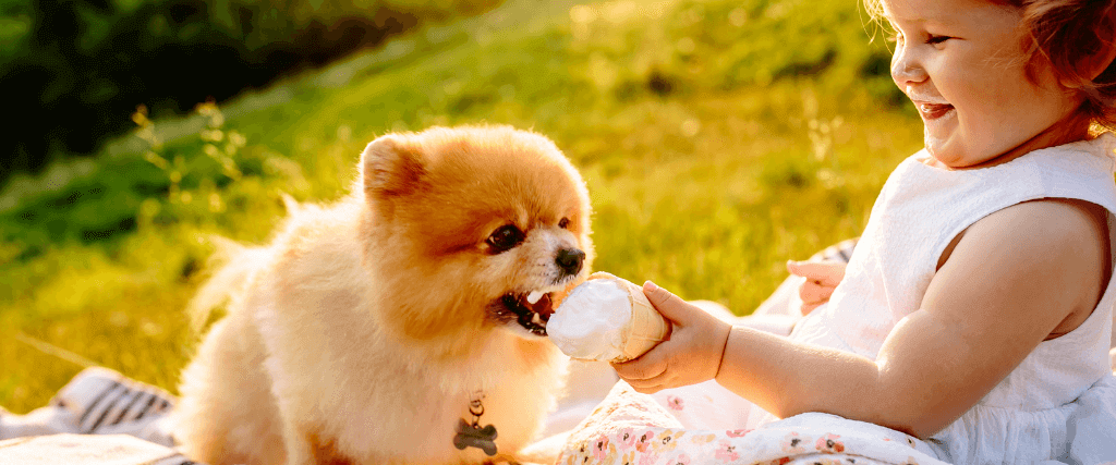 3 Pet-Friendly Sweet Treats in Honor of National Dessert Day