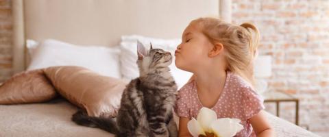 7 Tips For Raising a Healthy Cat in Honor of National Adopt a Cat Month