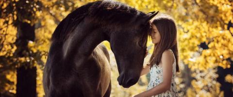 Straight From The Horse's Mouth: The Importance Of Equine Dental Care