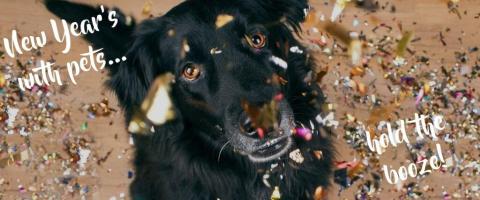 New Year’s Eve Pet Safety: Hold the Booze