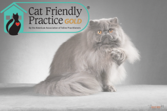Catfriendly