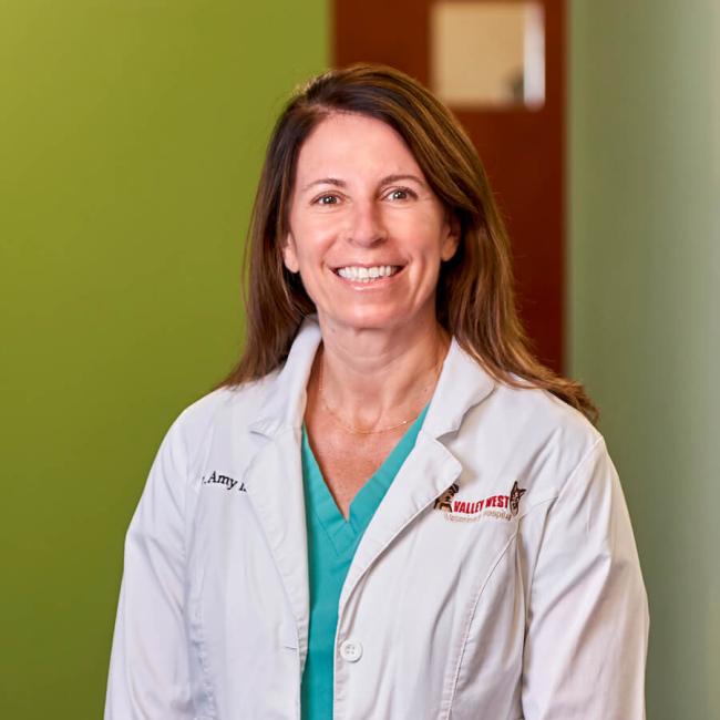 Charleston West Virginia Veterinarians