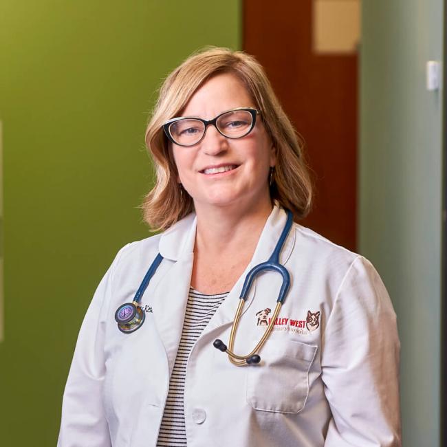 Charleston West Virginia Veterinarians