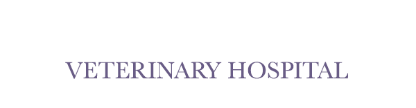Valley West Veterinary Hospital